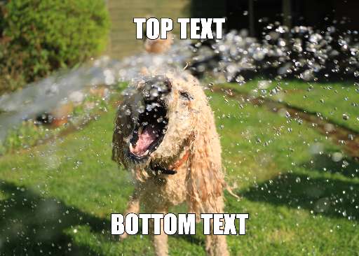 Preview for Dog-shaking-water-summer-meme-template-b8ced