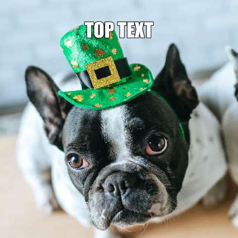 Preview for St-patricks-day-dog-stpatmeme-template-f2504