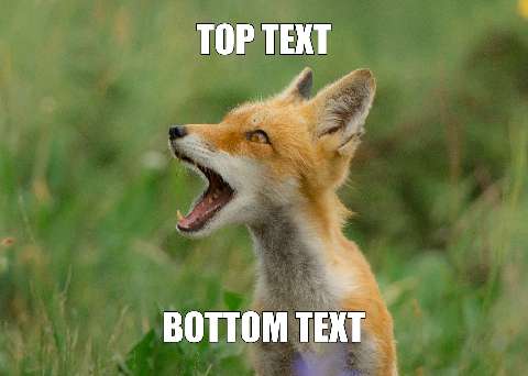 Preview for Laughing-fox-meme-template-meme-animal-1fede