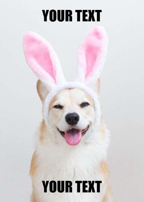 Preview for Corgi-in-bunny-ears-easter-meme-template-dc540