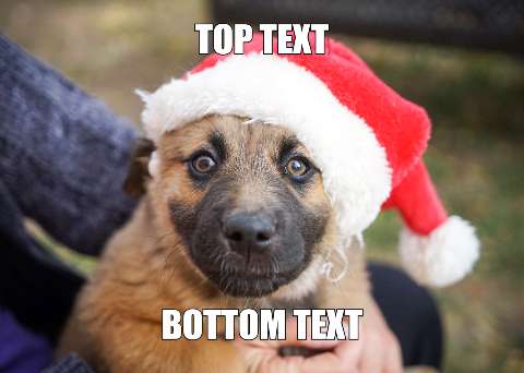 Preview for Christmas-puppy-meme-meme-dog-template-87a51