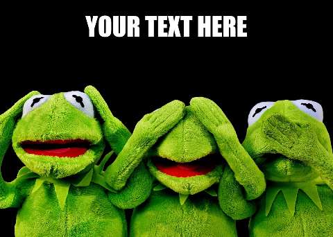 Preview for Kermit-meme-template-meme-animal-e3830