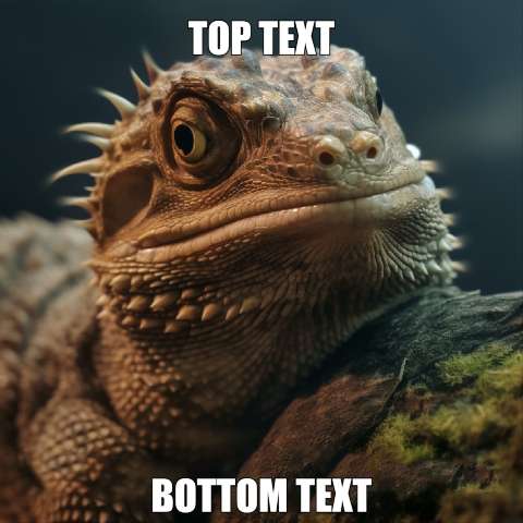 Preview for Bearded-dragon-meme-template-meme-animal-73e17