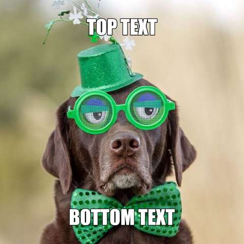 Preview for Funny-dog-meme-template-stpatmeme-ce904