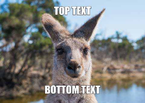 Preview for Kangaroo-meme-template-meme-animal-01fb4