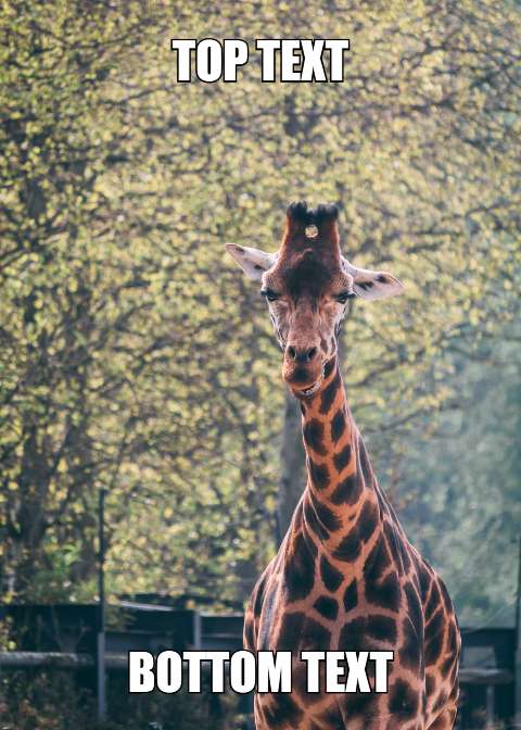 Preview for Giraffe-meme-template-meme-animal-620b2