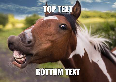 Preview for Laughing-horse-meme-template-meme-classic-aad08