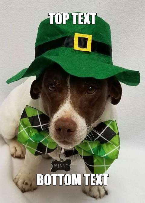 Preview for Lucky-dog-meme-template-stpatmeme-bdd74