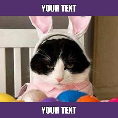 Preview for Easter-cat-meme-template-easter-meme-f8904