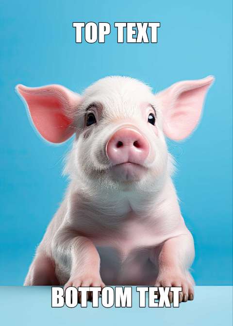 Preview for Piglet-meme-template-meme-animal-be10e