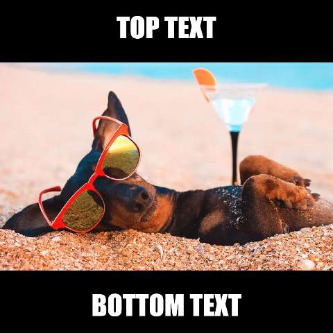 Preview for Relaxing-dog-beach-cocktail-summermeme-template-8c730