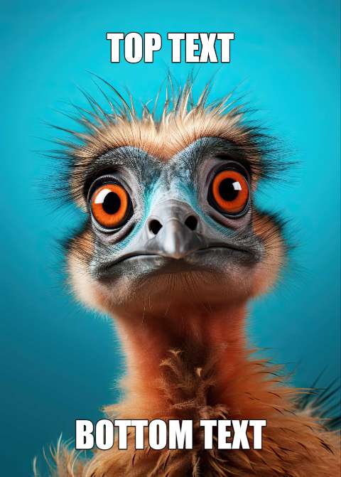 Preview for Ostrich-meme-template-meme-animal-1cfbc