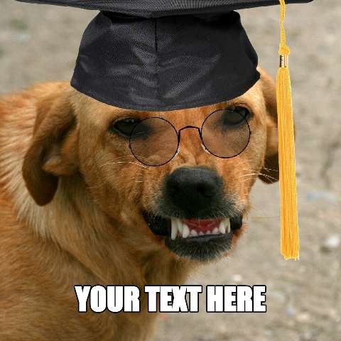 Preview for Graduated-dog-template-graduation-fb814