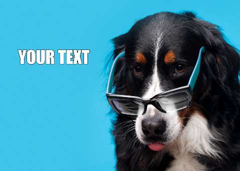 Preview for Dog-wearing-glasses-template-meme-dog-d6226