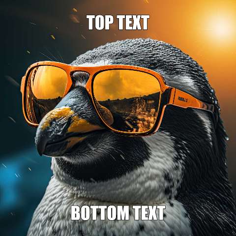 Preview for Penguin-meme-template-meme-animal-6ae9d