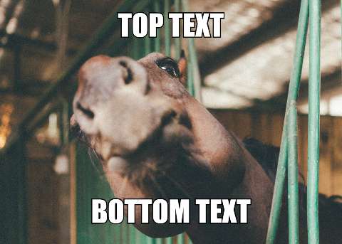 Preview for Horse-meme-template-meme-classic-65d2f