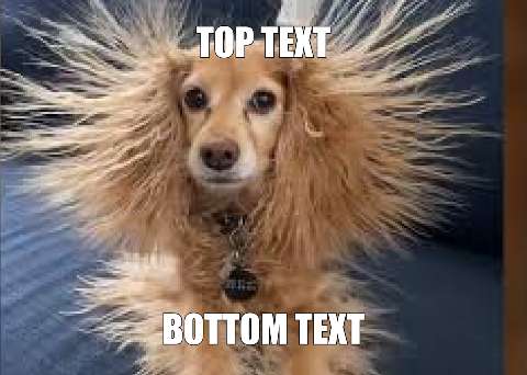 Preview for Funny-dog-meme-template-meme-dog-100c8