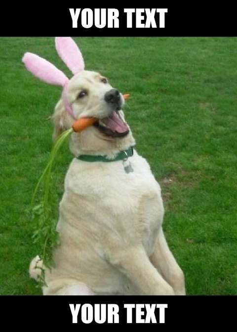Preview for Easter-dog-meme-easter-meme-template-66d8f