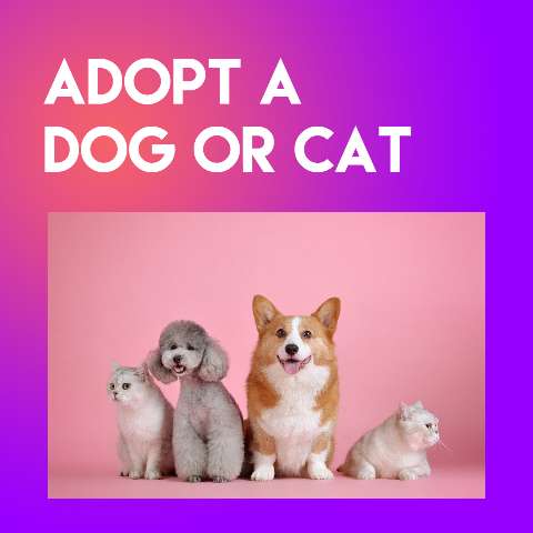 Preview for Adopt-a-dog-or-cat-square-template-99da3
