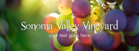 Preview for Sonoma-valley-vineyard-cover-template-8de72