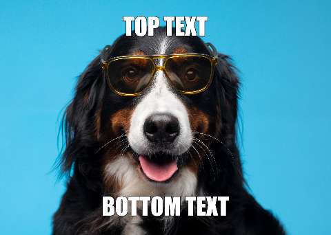 Preview for Funny-dog-meme-template-meme-dog-14084