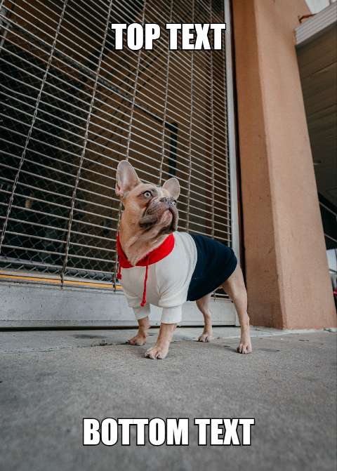 Preview for Funny-dog-meme-template-meme-dog-380e4