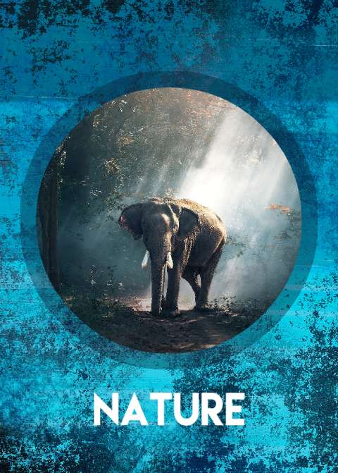 Preview for Elephant-in-nature-hands-template-ddeae