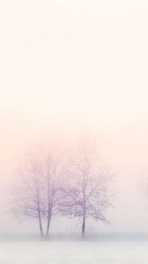 Preview for Misty-winter-landscape-story-background-template-ab7cd