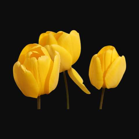 Thumbnail for Flower Sticker