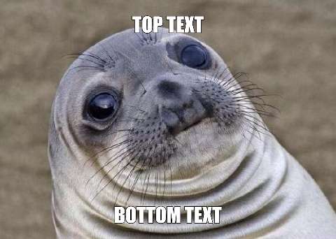 Preview for Smiling-seal-meme-template-meme-animal-b4742