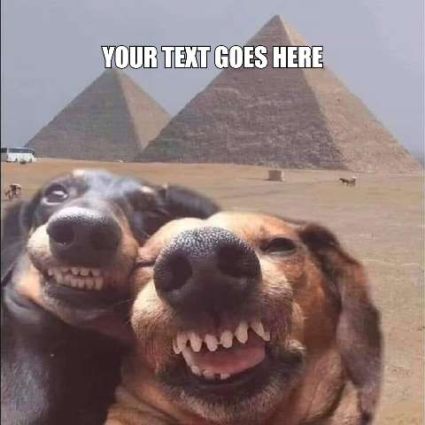 Preview for Dogs-at-pyramids-meme-meme-dog-template-f05c8