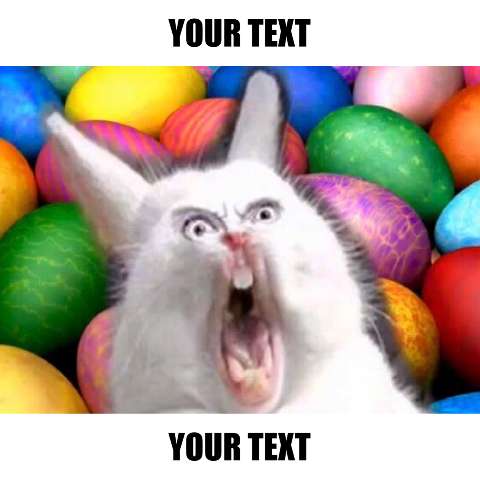 Preview for Shocked-easter-bunny-meme-template-easter-meme-eab21