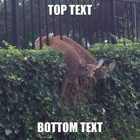 Preview for Deer-behind-fence-meme-template-bd9c8