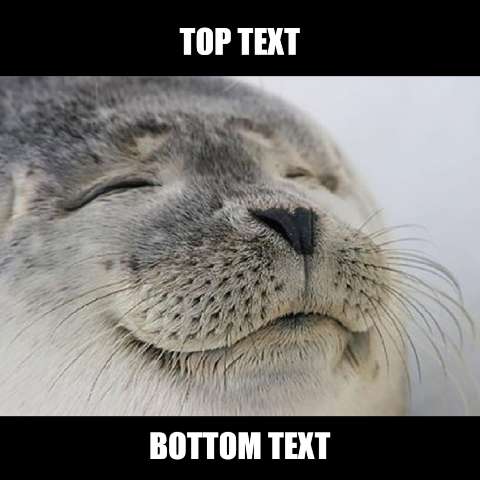 Preview for Sleeping-seal-meme-template-meme-animal-35b2f