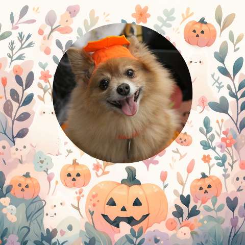 Preview for Pomeranian-halloween-costume-halloween-post-template-583f5