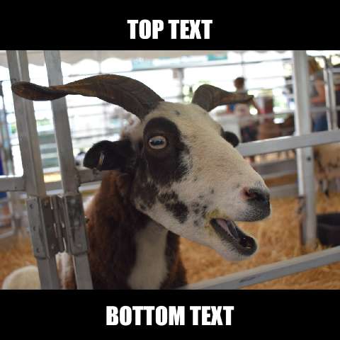 Preview for Funny-goat-meme-template-meme-animal-2b185