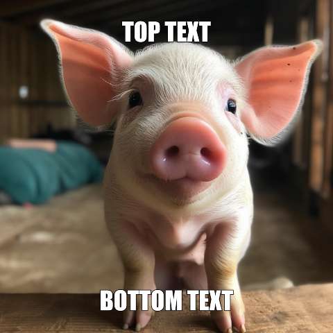 Preview for Pig-meme-template-meme-animal-01c1b