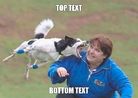 Preview for Dog-meme-template-58efd