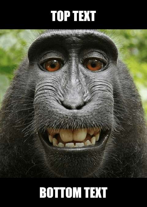 Preview for Gorilla-meme-template-0cd46