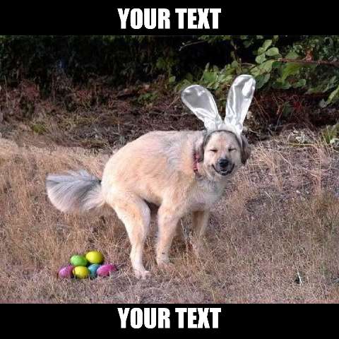 Preview for Easter-dog-meme-easter-meme-template-c6c38
