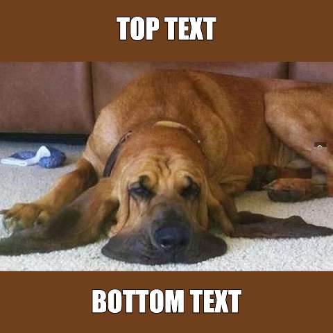 Preview for Sad-dog-meme-template-summermeme-f135a