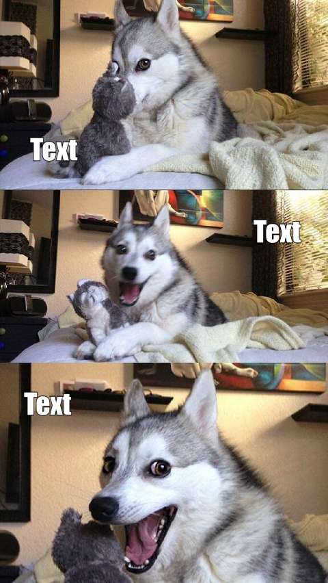 Preview for Husky-playing-with-stuffed-animal-meme-dog-template-ee87b