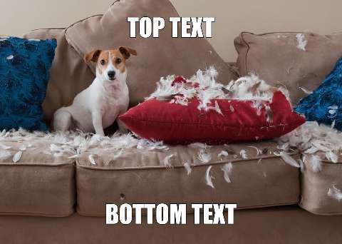 Preview for Dog-destroys-couch-pillow-meme-dog-template-39475