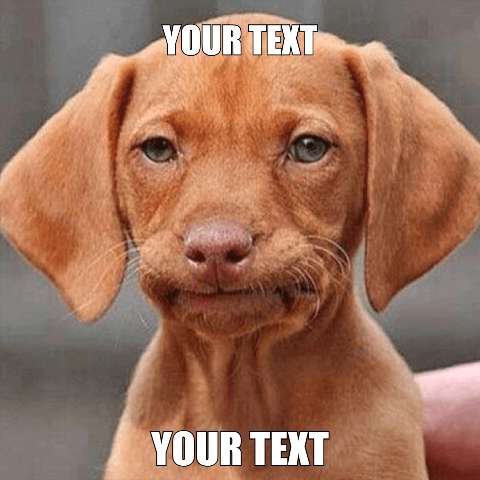 Preview for Puppy-meme-template-meme-dog-a0c97