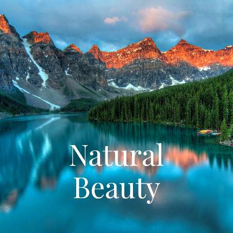 Preview for Natural Beauty Landscape Template