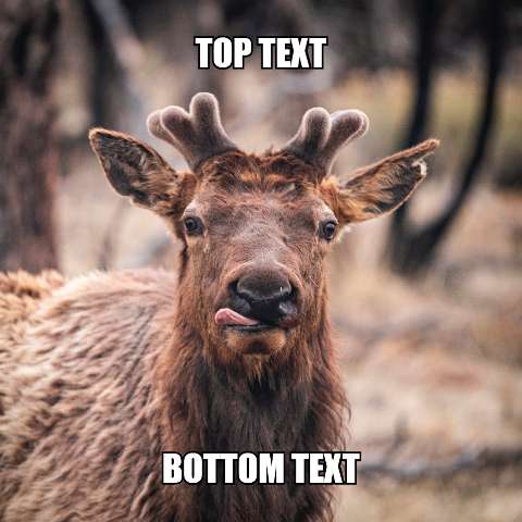 Preview for Elk-meme-template-meme-animal-e9b4f