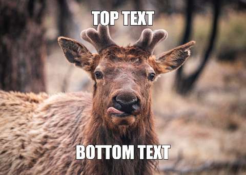 Preview for Funny-elk-meme-template-meme-animal-c3bbc