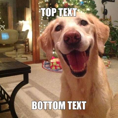 Preview for Happy-dog-christmas-meme-template-holidaymeme-21caf