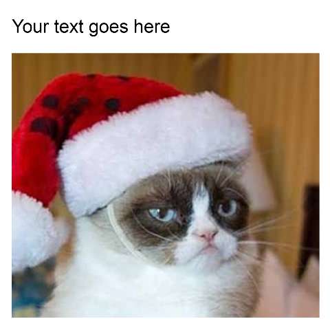 Preview for Grumpy-cat-christmas-meme-holidaymeme-template-efff9