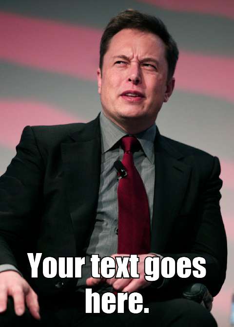 Preview for Elon-musk-professional-photo-meme-template-39941